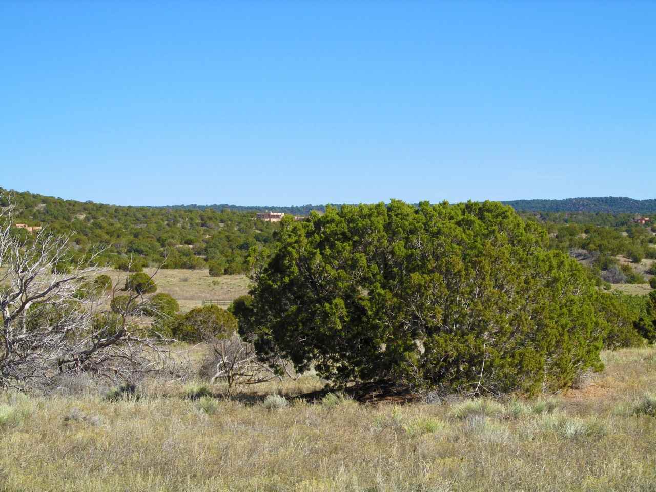 Ginger Clarke Barker Realty Christie's International Real Estate