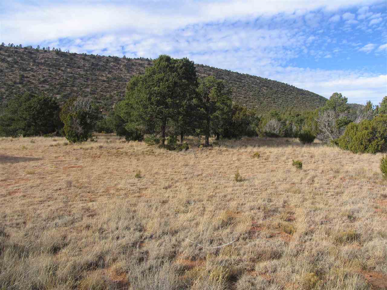 CR B31A, Gonzales Ranch, NM, 87560 | Barker Realty | Christie's ...