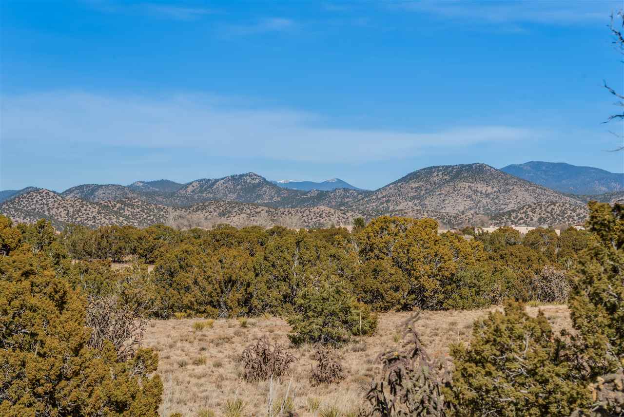 Patricia Love Barker Realty Christie's International Real Estate