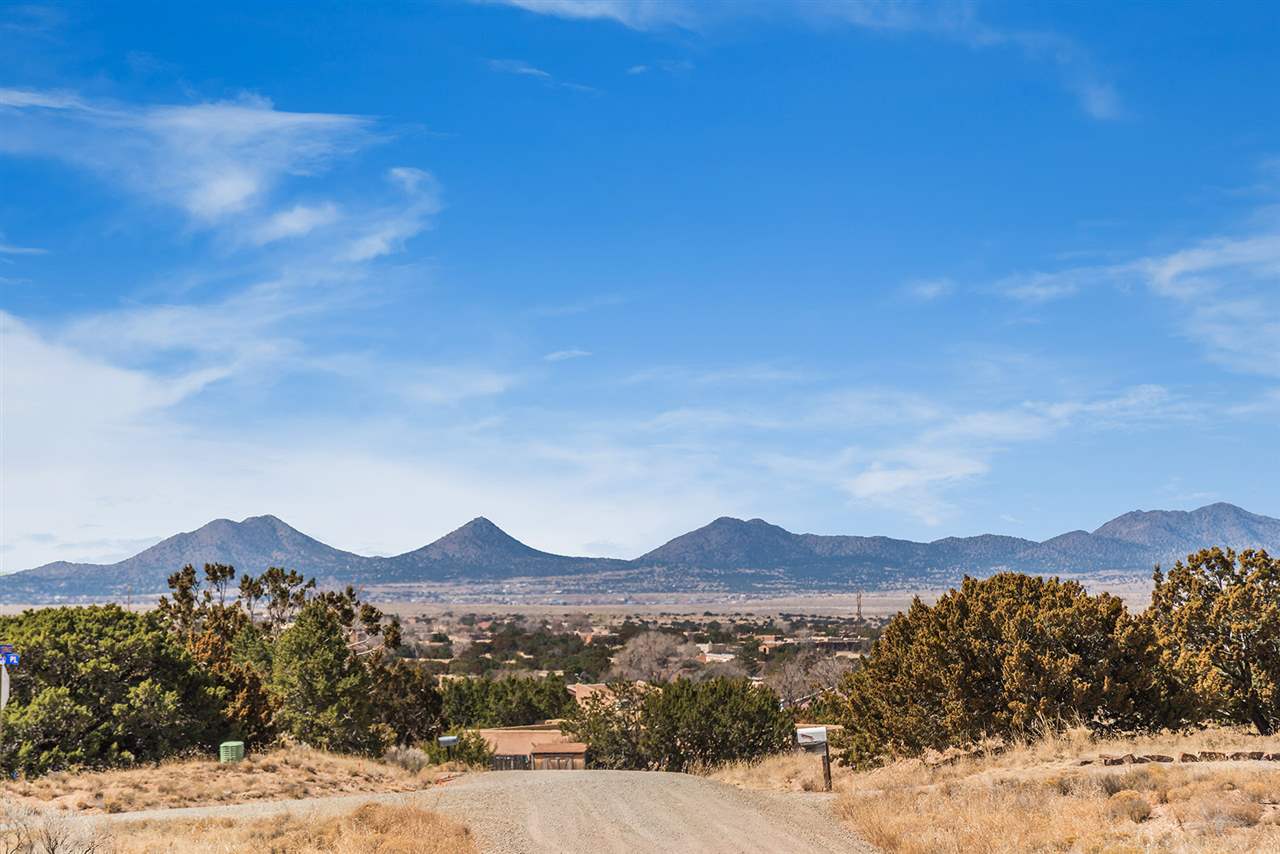 Patricia Love Barker Realty Christie's International Real Estate